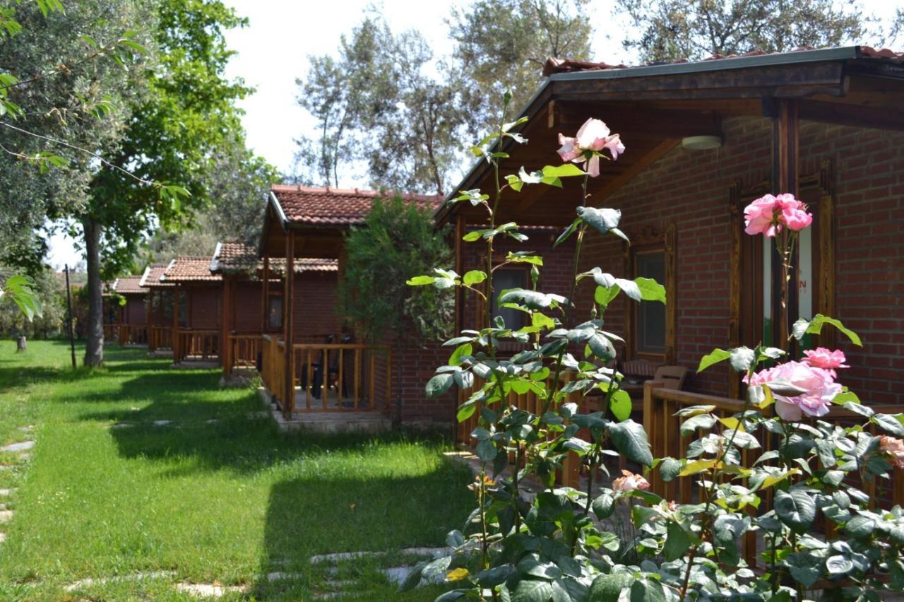 Kervan Tatil Koeyue Αδραμύττιο Εξωτερικό φωτογραφία
