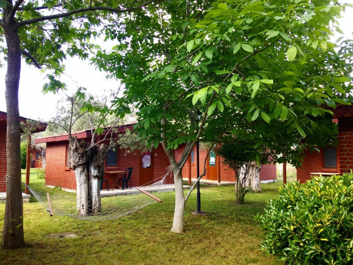 Kervan Tatil Koeyue Αδραμύττιο Εξωτερικό φωτογραφία