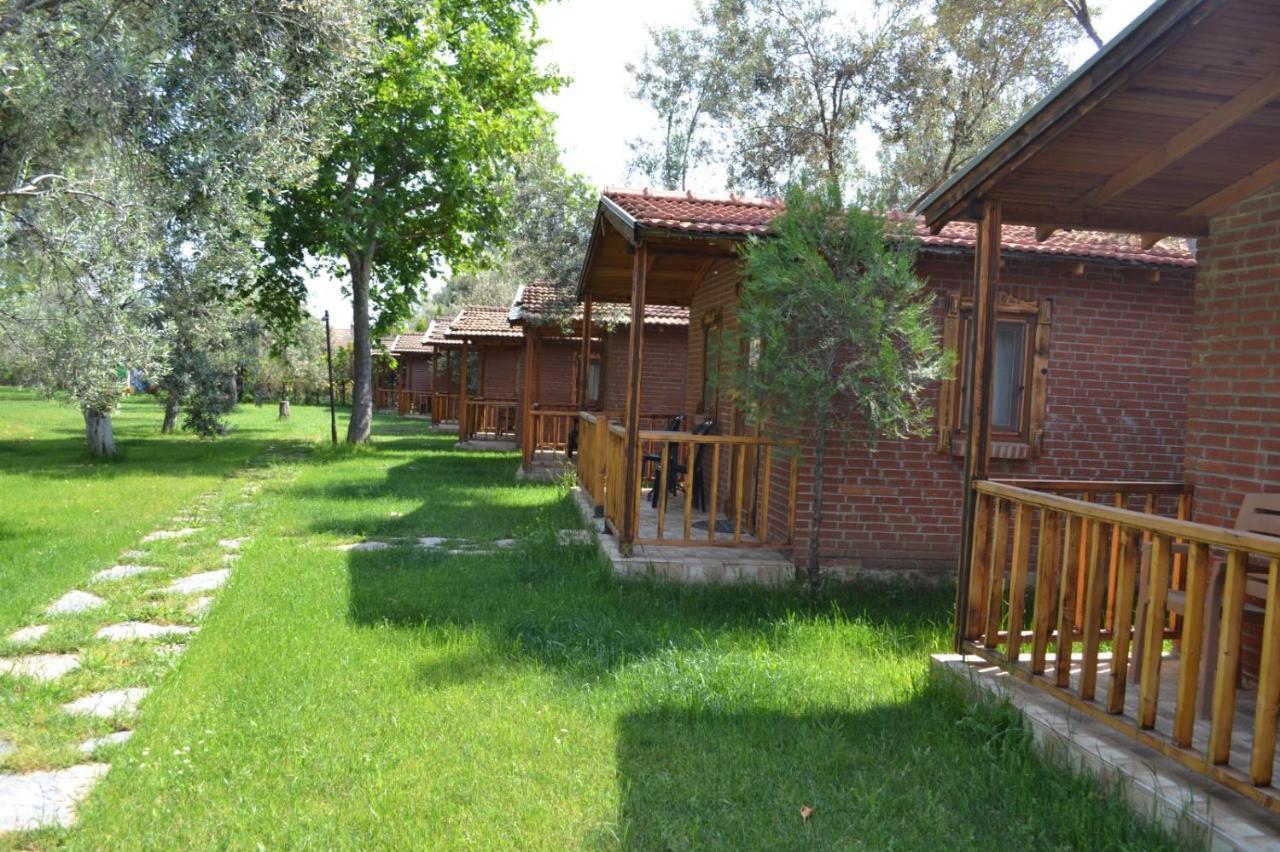 Kervan Tatil Koeyue Αδραμύττιο Εξωτερικό φωτογραφία