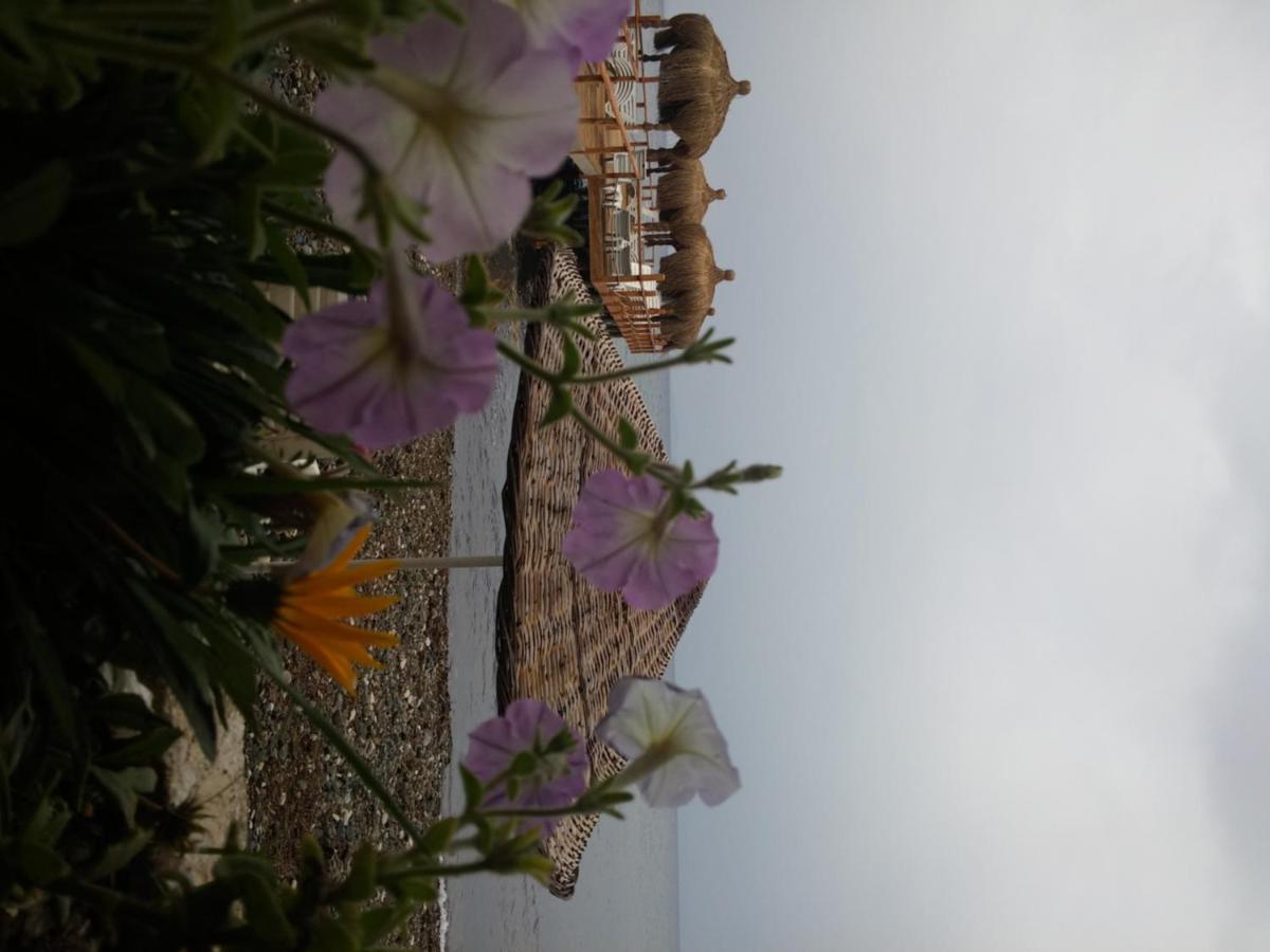 Kervan Tatil Koeyue Αδραμύττιο Εξωτερικό φωτογραφία