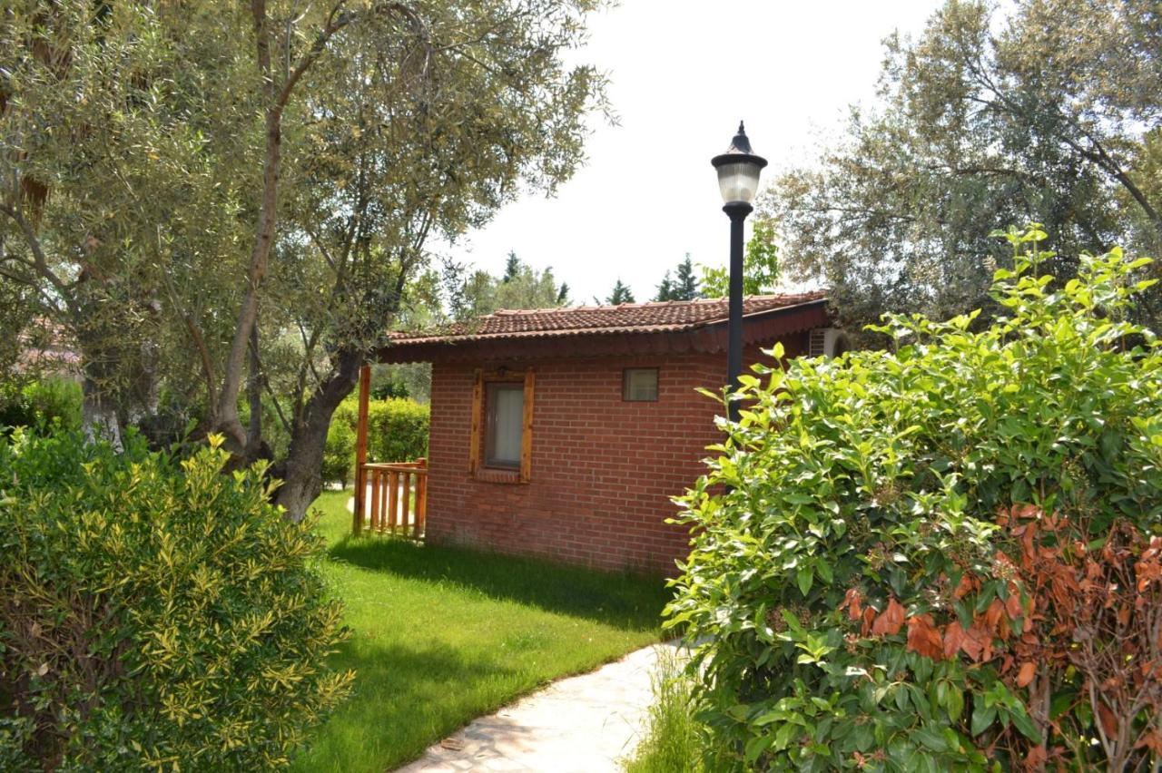 Kervan Tatil Koeyue Αδραμύττιο Εξωτερικό φωτογραφία