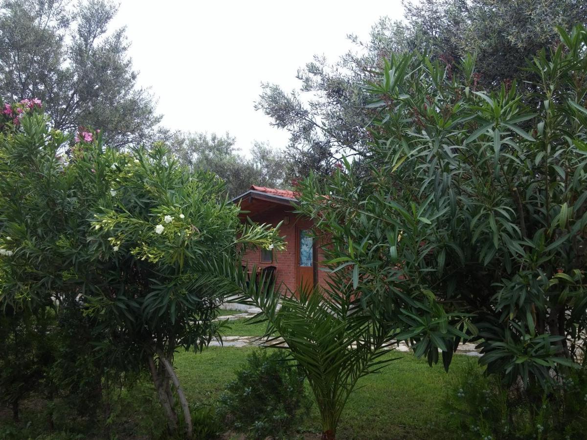 Kervan Tatil Koeyue Αδραμύττιο Εξωτερικό φωτογραφία