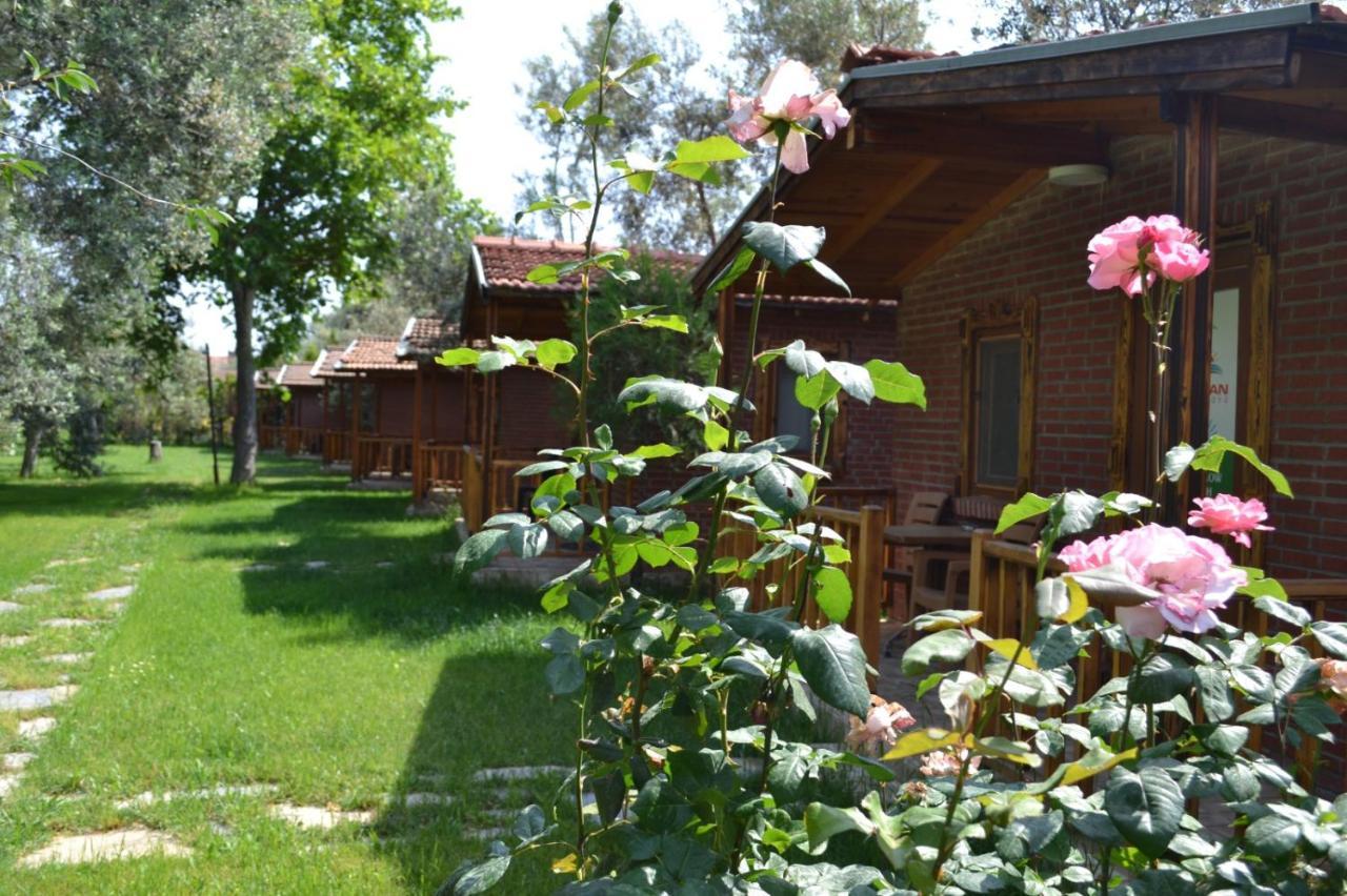 Kervan Tatil Koeyue Αδραμύττιο Εξωτερικό φωτογραφία