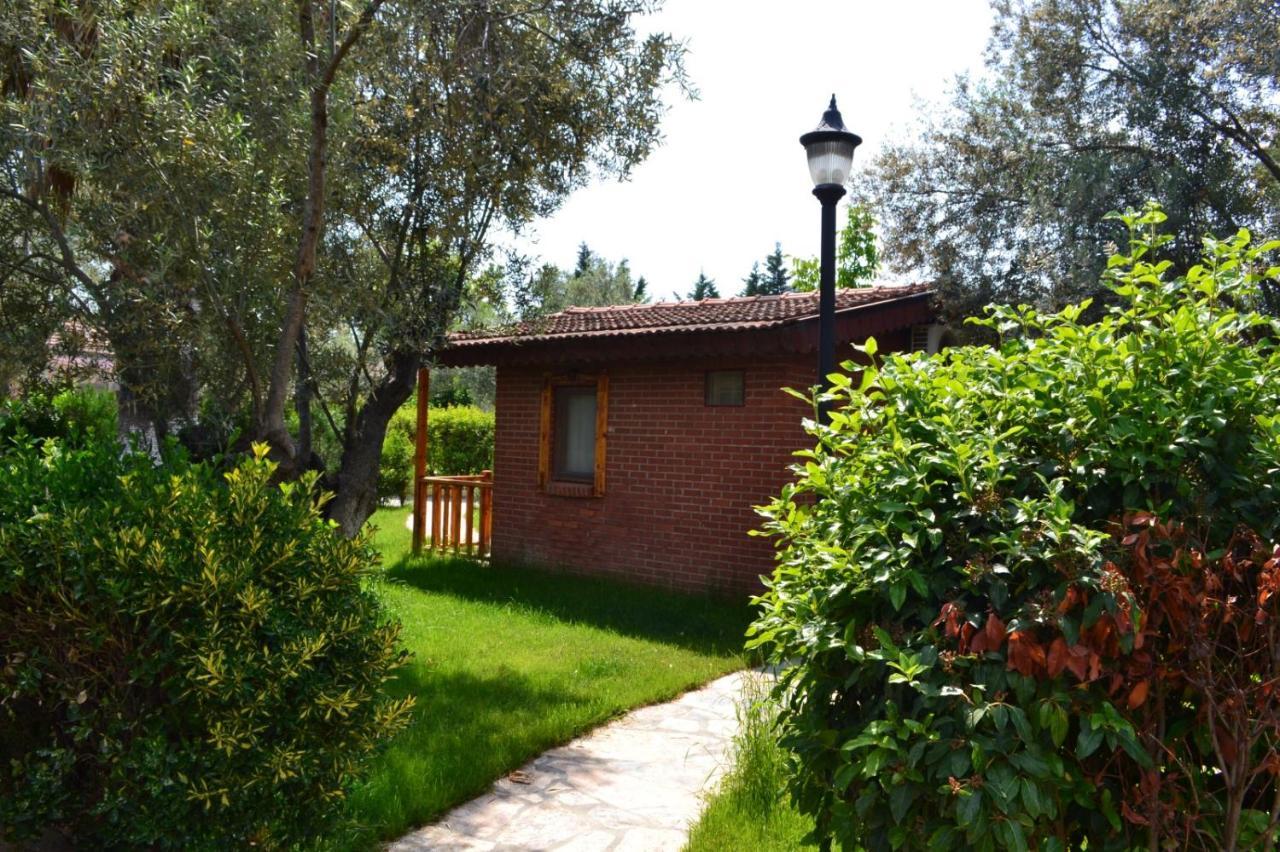 Kervan Tatil Koeyue Αδραμύττιο Εξωτερικό φωτογραφία